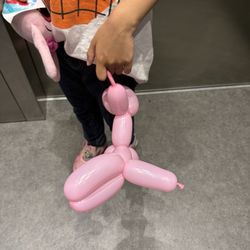 La Clínica - Vallejo Dental - Dr Heydari is consistent with the animal balloons after each visit, we love her!
