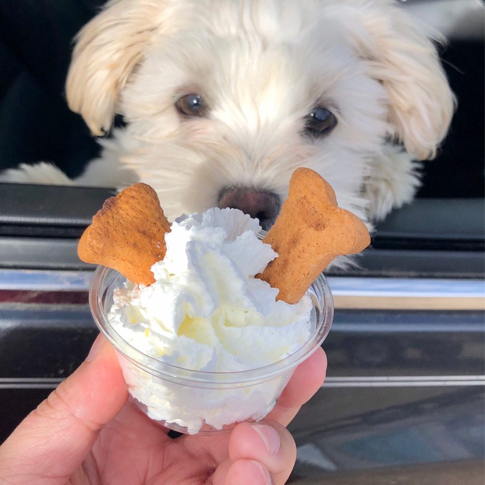 Treat for your pup!