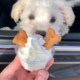 Treat for your pup!