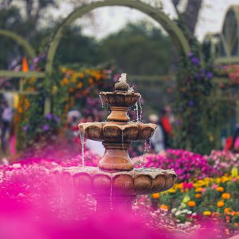 The Flower Fields - Venues & Event Spaces Near Me - Carlsbad, California The Flower Fields - Venues & Event Spaces Near Me - Carlsbad, California