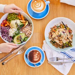 Bluestone Lane The Woodlands Cafe