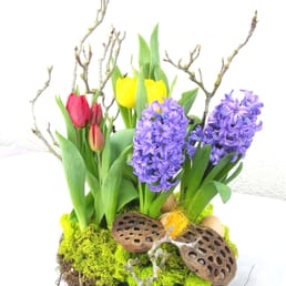 Orchid Florist 73 Photos 51 Reviews Florists 1768 Solano Ave Berkeley Ca Phone Number Yelp