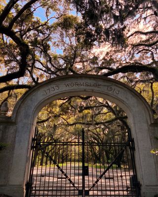 Wormsloe Historic Site by null