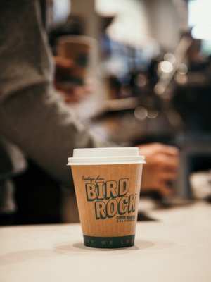 Bird Rock Coffee Roasters - Torrey Pines by null
