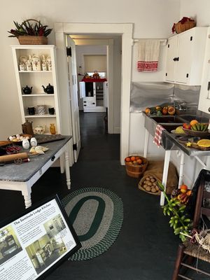 Edison & Ford Winter Estates by null