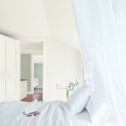 New York Paint & Hardware Yorkville - Benjamin Moore, Steam