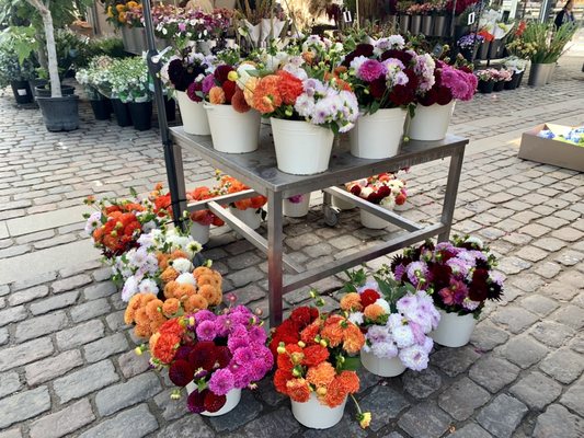 TorvehallerneKBH by null