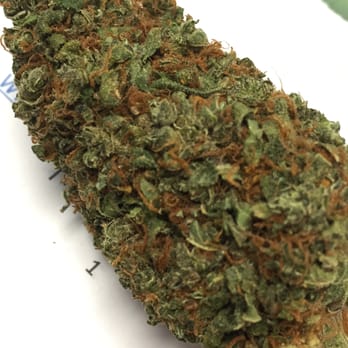 Encanto Green Cross - Jack Herer - Cannabis Clinics Near Me - Phoenix, Arizona Encanto Green Cross - Jack Herer - Cannabis Clinics Near Me - Phoenix, Arizona