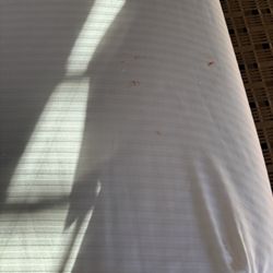 Quality Inn - Blood?