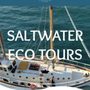 Photo of Saltwater Eco Tours