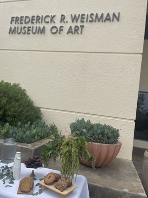 Frederick R. Weisman Museum of Art by null