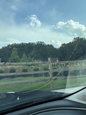 Homestead Gardens by null