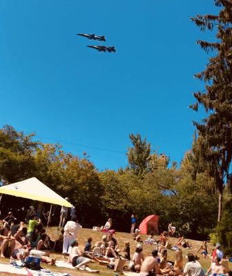 Madison Park by null