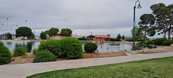 Craig Ranch Regional Park by null