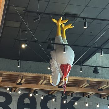 The Crack Shack - Where else can you see a rooster hanging upside down on from the ceiling? - Chicken Shop Near Me - Las Vegas, Nevada The Crack Shack - Where else can you see a rooster hanging upside down on from the ceiling? - Chicken Shop Near Me - Las Vegas, Nevada