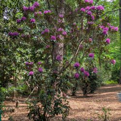 Sandhills Horticultural Gardens