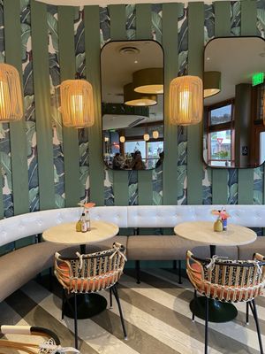 DODO BIRD Donuts by null