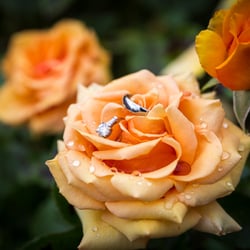 Love In Focus - Love In Focus Wedding Photography