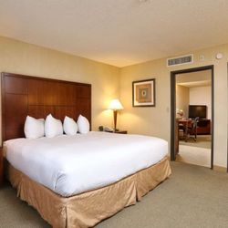 DoubleTree Suites by Hilton Hotel Tucson Airport - Guest room