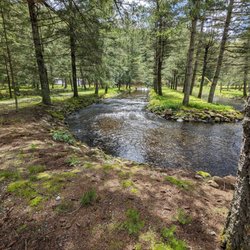 Weaver Creek Spawning Channel