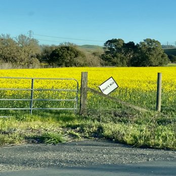 North Bay Wine Tours - Wine Tours Near Me North Bay Wine Tours - Wine Tours Near Me