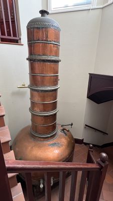 Mission Estate Winery by null