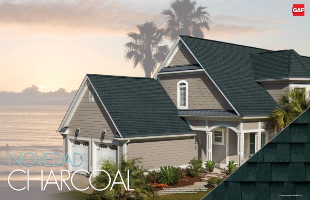 Slide of Super Mario Roofing