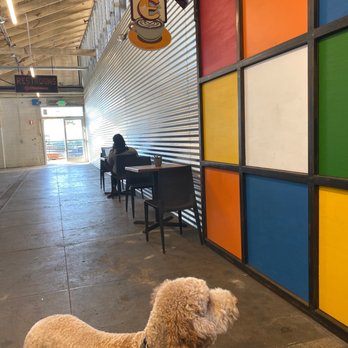Chromatic Coffee - Dog friendly - Coffee Roasteries Near Me - San Jose, California Chromatic Coffee - Dog friendly - Coffee Roasteries Near Me - San Jose, California