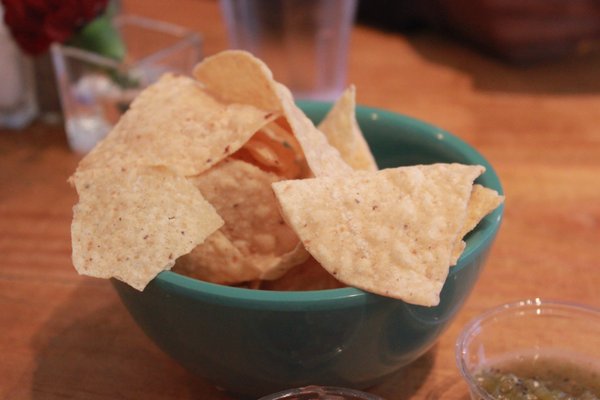 little chihuahua delivery