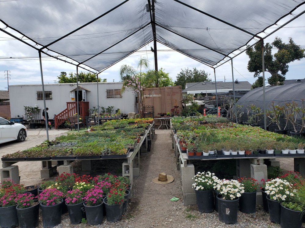 TORRANCE WHOLESALE NURSERY 74 Photos & 81 Reviews 18901 Ermanita