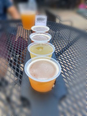 Barley Creek Brewing Company by null