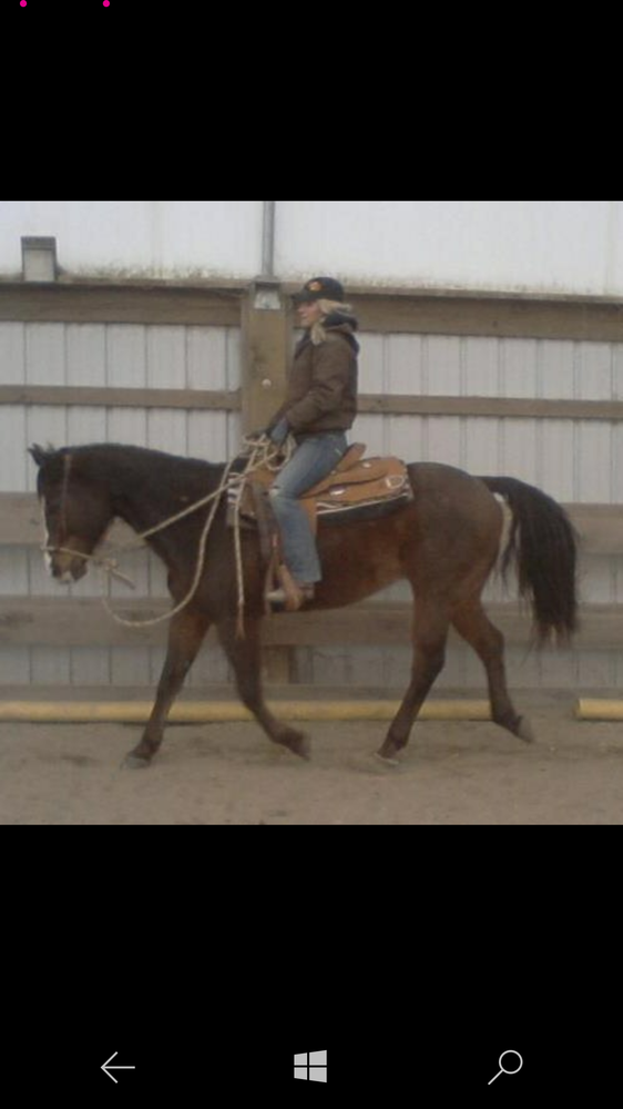 Rosehill Stables - equestrian in Windham, ME