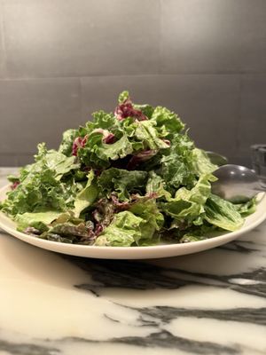 Savoy Tomato & Cheese by null