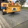 Photo of Jones Tree Service