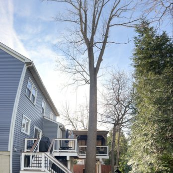Ortega’s Tree Service - Do you need service for your trees?   We help you! Call us today. - Tree Services Near Me - McLean, Virginia
