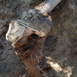 Roberts Plumbing Hydro Jet and Rooter