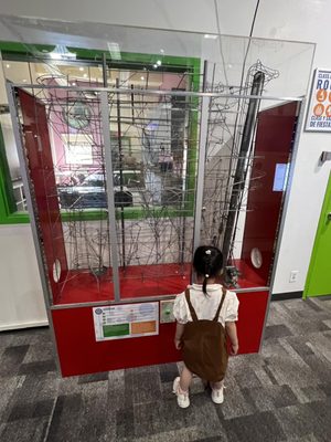 Eugene Science Factory EUGENE SCIENCE CENTER - Updated July 2026 - 32 Photos & 35 Reviews ...
