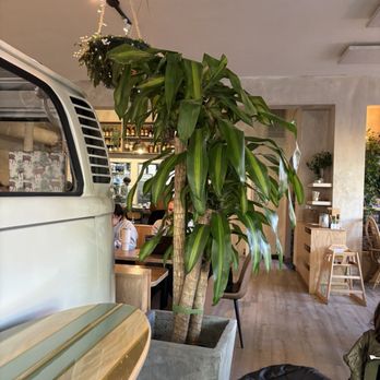 Pacha Collective - Coffee & Tea Near Me - Seattle, Washington Pacha Collective - Coffee & Tea Near Me - Seattle, Washington