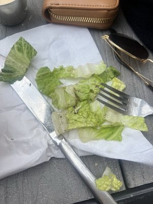 Standard at Alpharetta by null