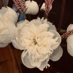Peonies opening up beautifully Peonies opening up beautifully
