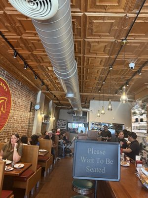 Pegasus Brooklyn by null