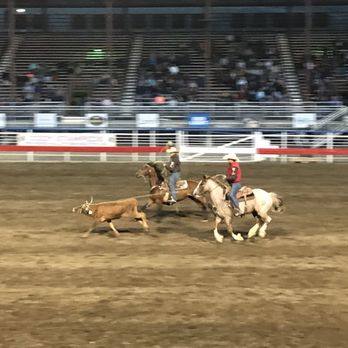 Cody Stampede Rodeo - Rodeo Near Me - Cody, Wyoming Cody Stampede Rodeo - Rodeo Near Me - Cody, Wyoming