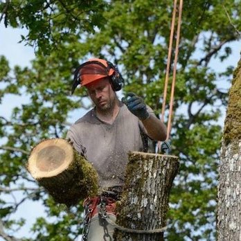 Blue Collar Tree Work - Tree Services Near Me - Victoria, British Columbia Blue Collar Tree Work - Tree Services Near Me - Victoria, British Columbia