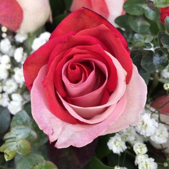 Downtown Florist - Beautiful mix of colors - Florists Near Me - Vancouver, British Columbia