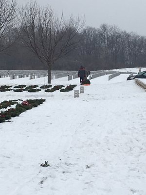 Abraham Lincoln National Cemetery by null