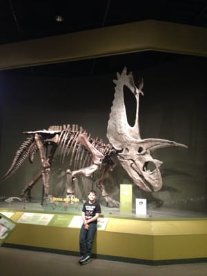 Sam Noble Oklahoma Museum of Natural History by null