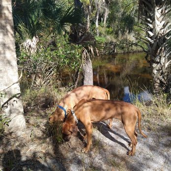Little Manatee River State Park - Happy New Year my YELP comrades .. Pups and I hope y'all have a most bodacious '24.. - Parks Near Me - Wimauma, Florida Little Manatee River State Park - Happy New Year my YELP comrades .. Pups and I hope y'all have a most bodacious '24.. - Parks Near Me - Wimauma, Florida