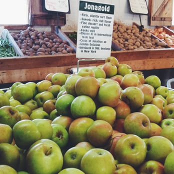 Osage Farm - Fruits & Veggies Near Me - Rabun Gap, Georgia