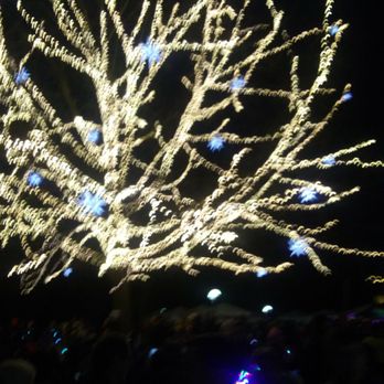 Redmond Lights - Festivals Near Me - Redmond, Washington Redmond Lights - Festivals Near Me - Redmond, Washington