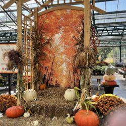 Pasquesi Home & Gardens